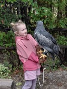 Mädchen in rosa hält Greifvogel auf der Hand